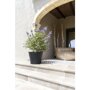 Pottery Pots Natural Bucket ronde plantenbak zwart terras